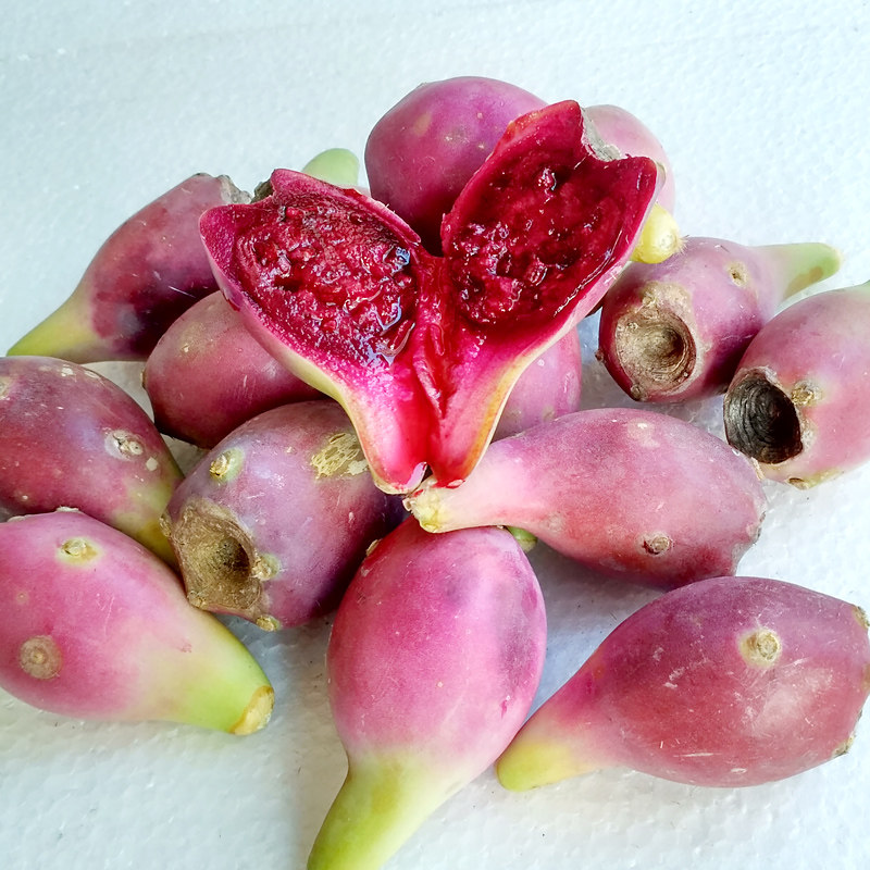 特价仙人掌果_1斤装 仙人掌果 野生 仙人果 水果  现摘现卖包邮 红皮