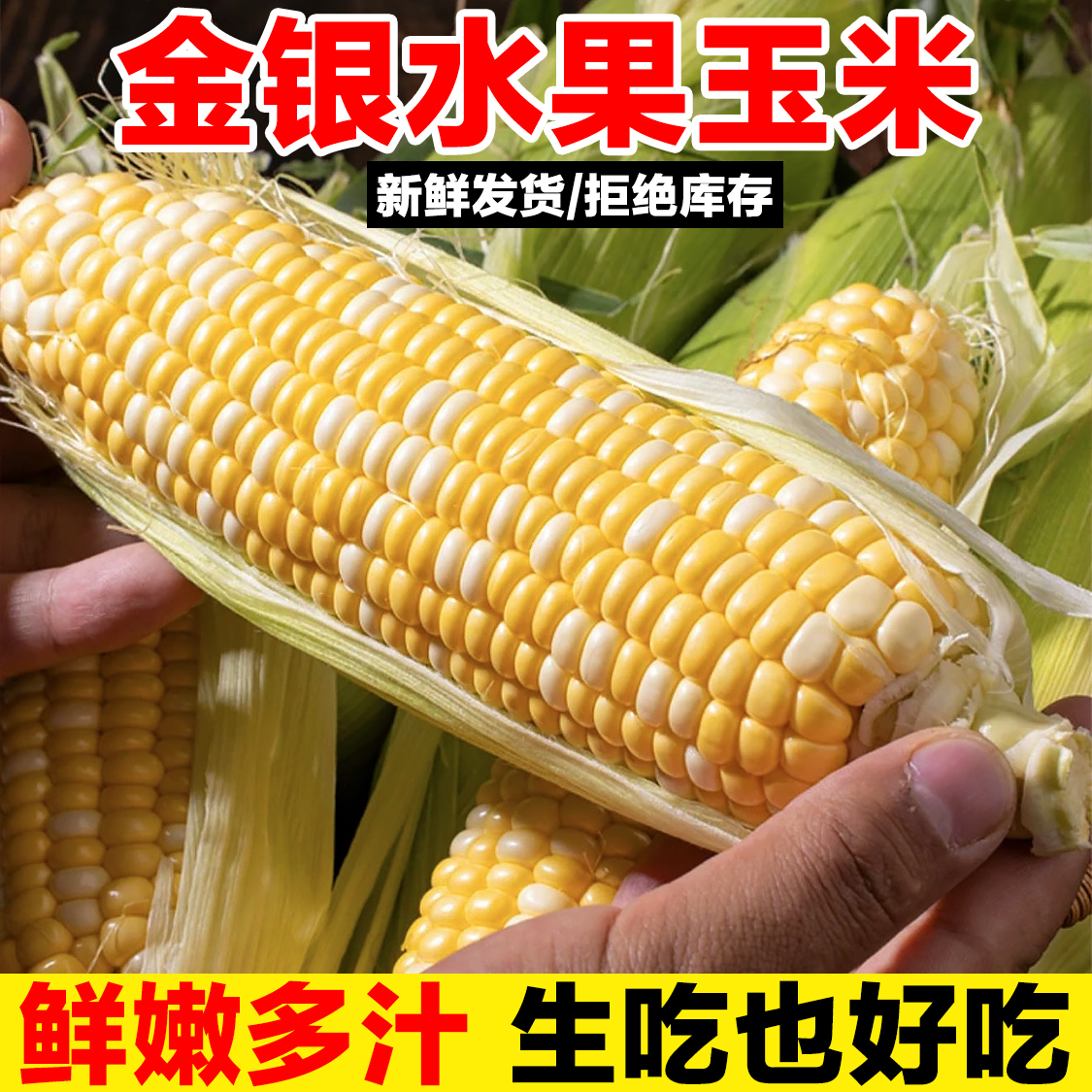 新鲜甜玉米棒云南双色水果玉米新鲜蔬