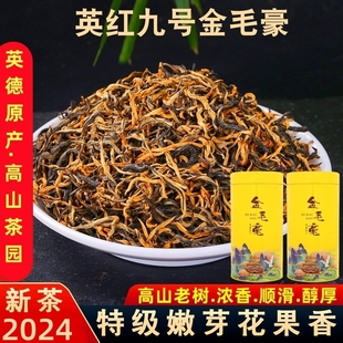 高山老树英德红茶英红九号特级浓香型明前春茶金毛豪2024新茶一斤