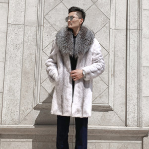 白色十字貂图片