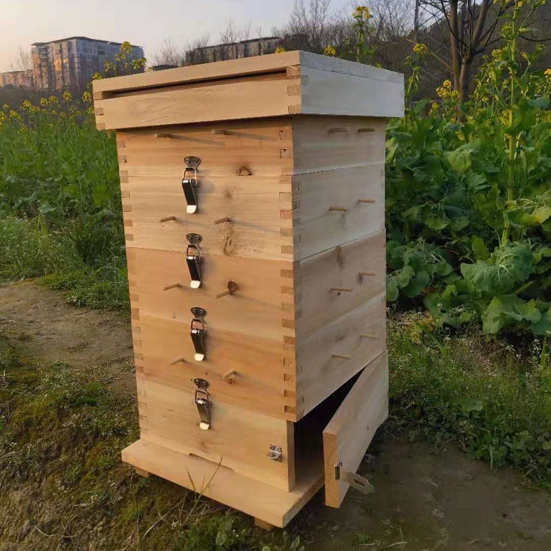 格子箱中蜂方格子蜂箱蜜蜂内径25cm煮腊蜂箱土蜂箱杉木蜂箱