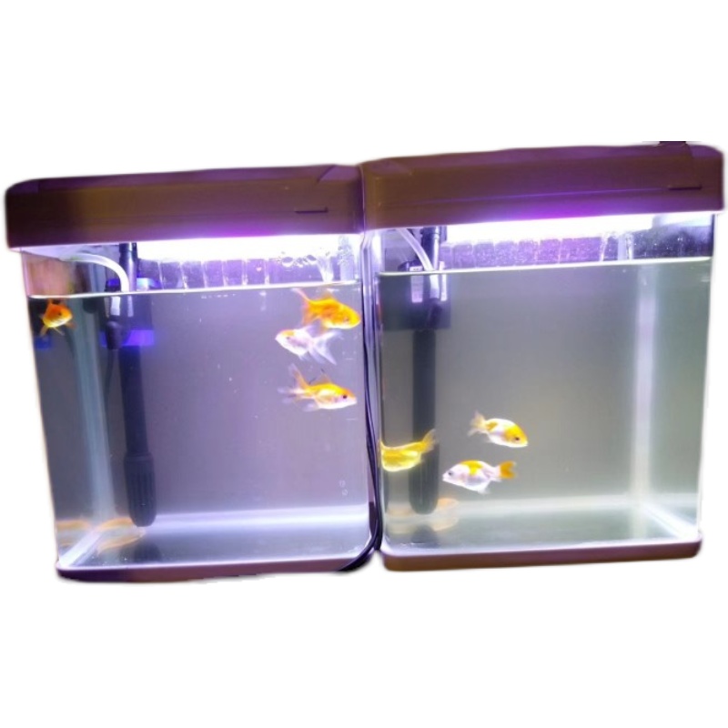 scb养鱼在类目 农用物资, 微生物菌剂, 污水处理菌剂中 - 来自Buy2taobao.com提供专业的淘宝代购服务