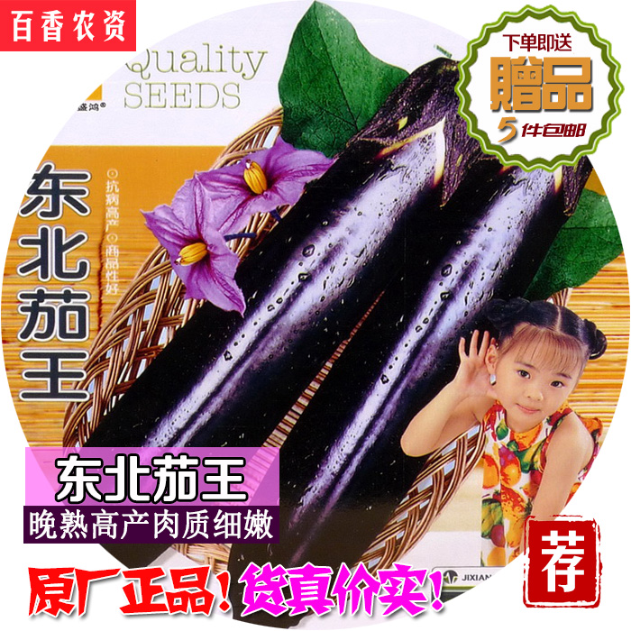 东北茄王长茄子种子高产阳台庭院盆栽四季肉质细嫩紫长茄蔬菜种子在类目 鲜花速递/花卉仿真/绿植园艺, 花卉/蔬果/草坪种子(新), 家庭园艺种子中 - 来自Buy2taobao.com提供专业的淘宝代购服务