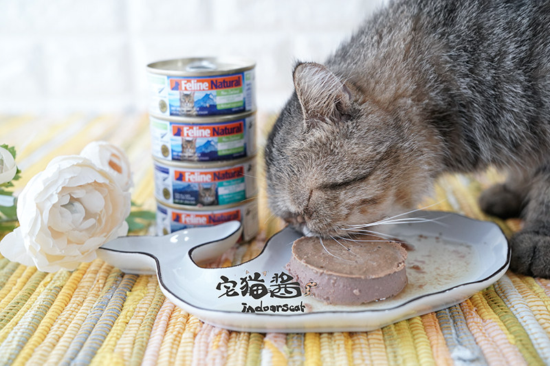 宅猫酱 k9猫罐头 猫咪主食罐头湿粮无谷猫罐 natural 85克/170g