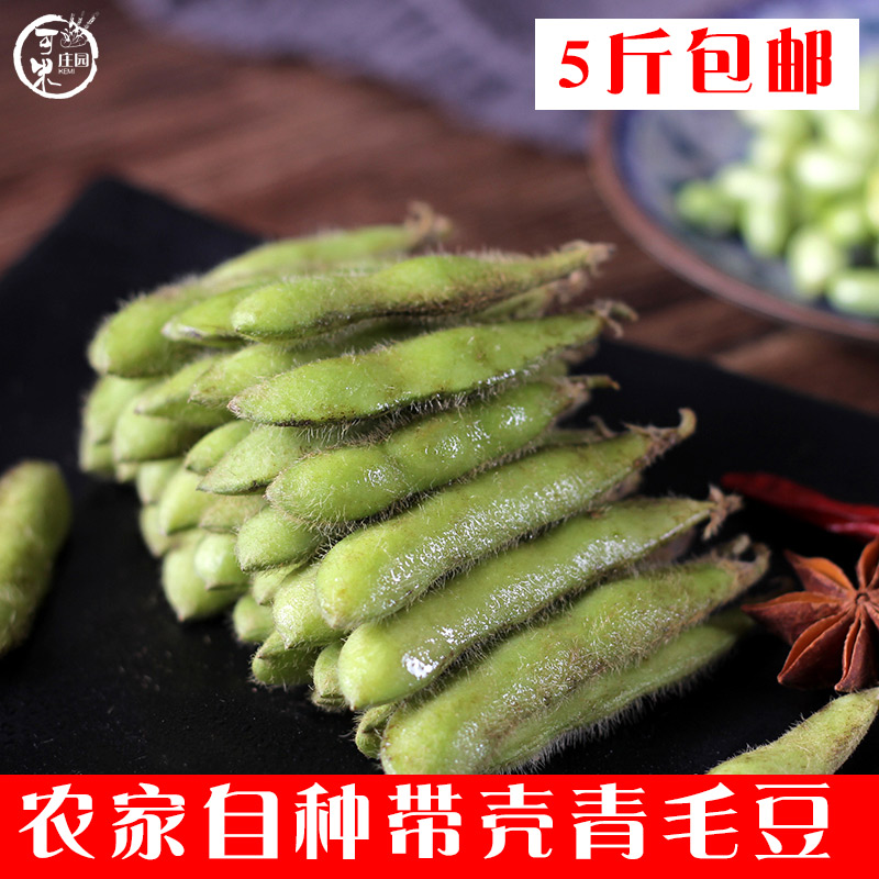 云南新鲜蔬菜带壳毛豆角农家自种青毛豆荚绿毛豆米大青豆5斤包邮