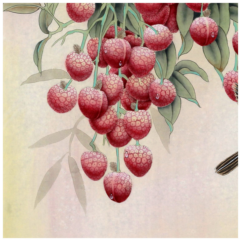 【即刻拍】李年生《南州六月荔枝丹》国家一级美术师 工笔精品