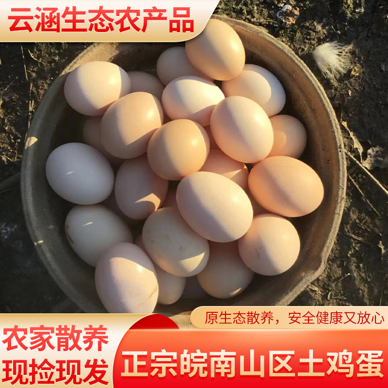 正宗散养土鸡蛋皖南山区新鲜农家蛋月