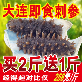 [买2送1]悦品堂即食海参500g大连即食海刺参即食辽参刺参礼盒