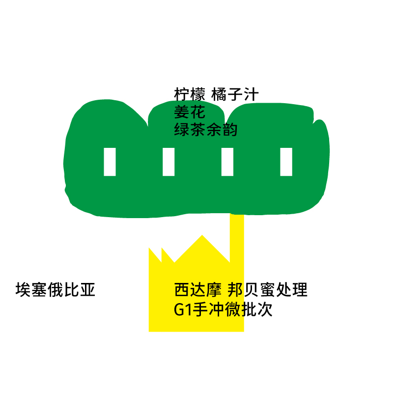 【新品】治光师埃塞俄比亚西达摩邦贝蜜处理G1手冲冷萃咖啡豆100g