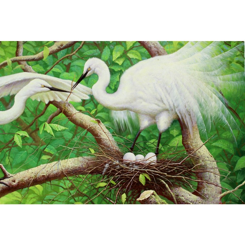 (朝鲜)朴贤《白鹭》万寿台画家 朝鲜油画精品【白头山出品】