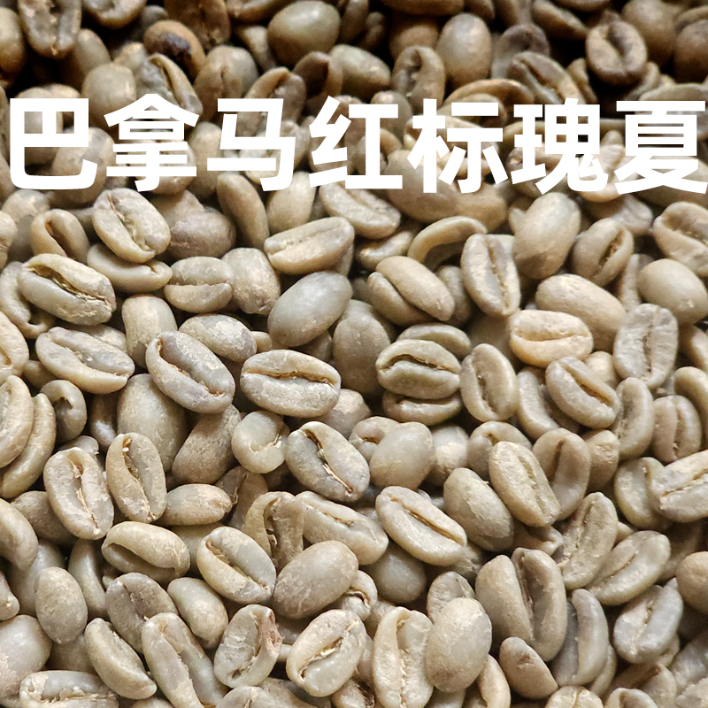 Grain Full小满咖啡烘焙厂巴拿马红标瑰夏生豆500g定制烘焙服务