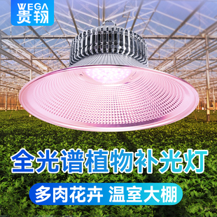 贵翔 植物生长灯全光谱led仿太阳光多肉补光灯上色室内家用温室