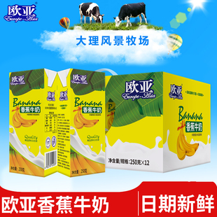 【日期新鲜】欧亚香蕉牛奶250g*12盒礼盒早餐整箱大理乳制品