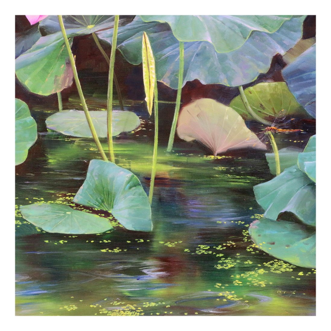 (朝鲜)功勋艺术家金永顺《盛夏荷塘》中央创作社 大卫画廊
