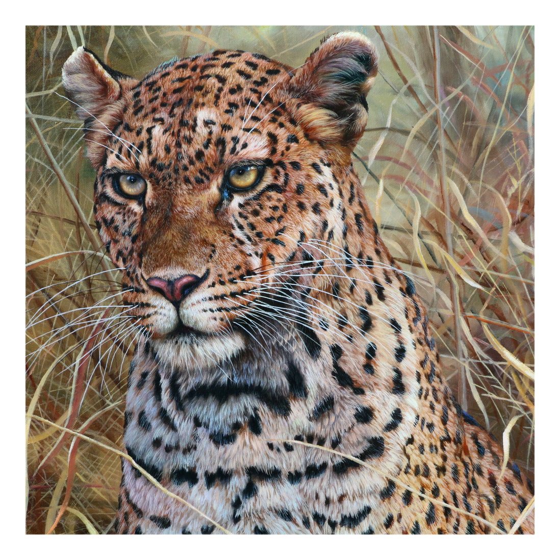 (朝鲜)张哲勋《花豹》三池渊作社 大卫画廊