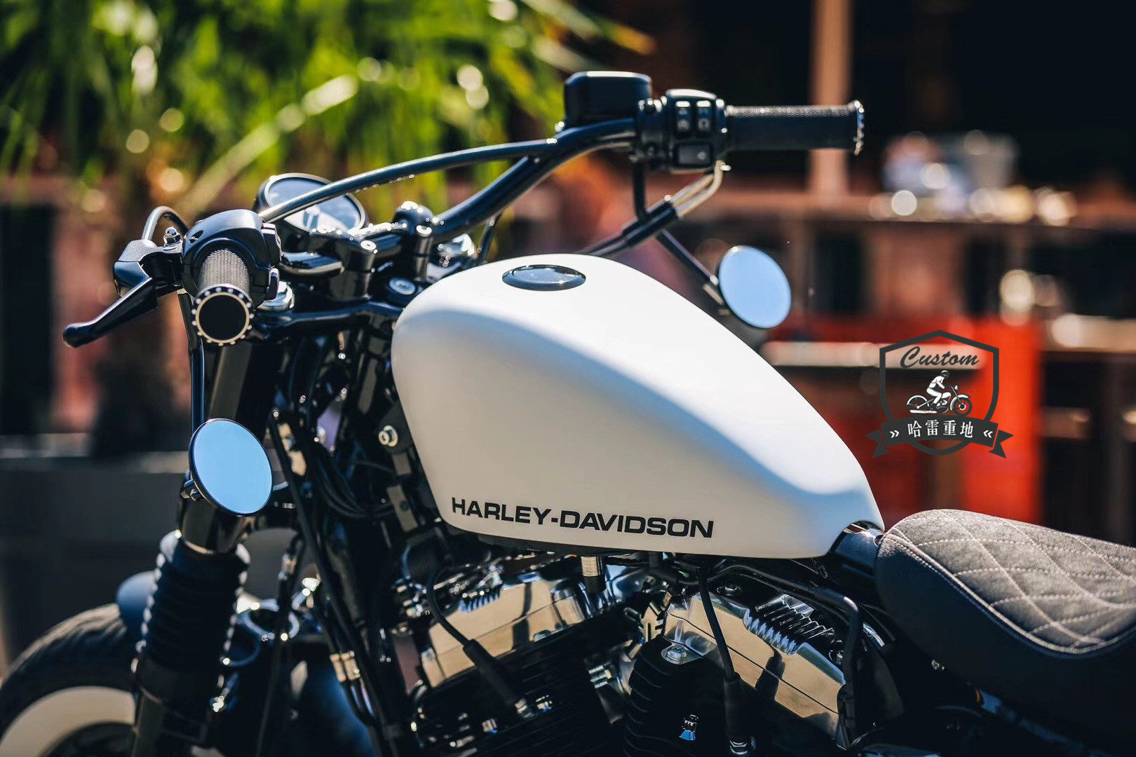 哈雷重地的优惠券大全