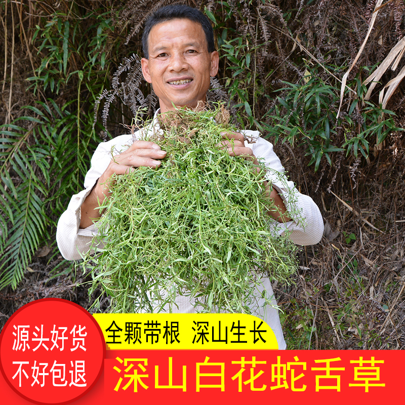 山区白花蛇舌草500g农家晒干无硫