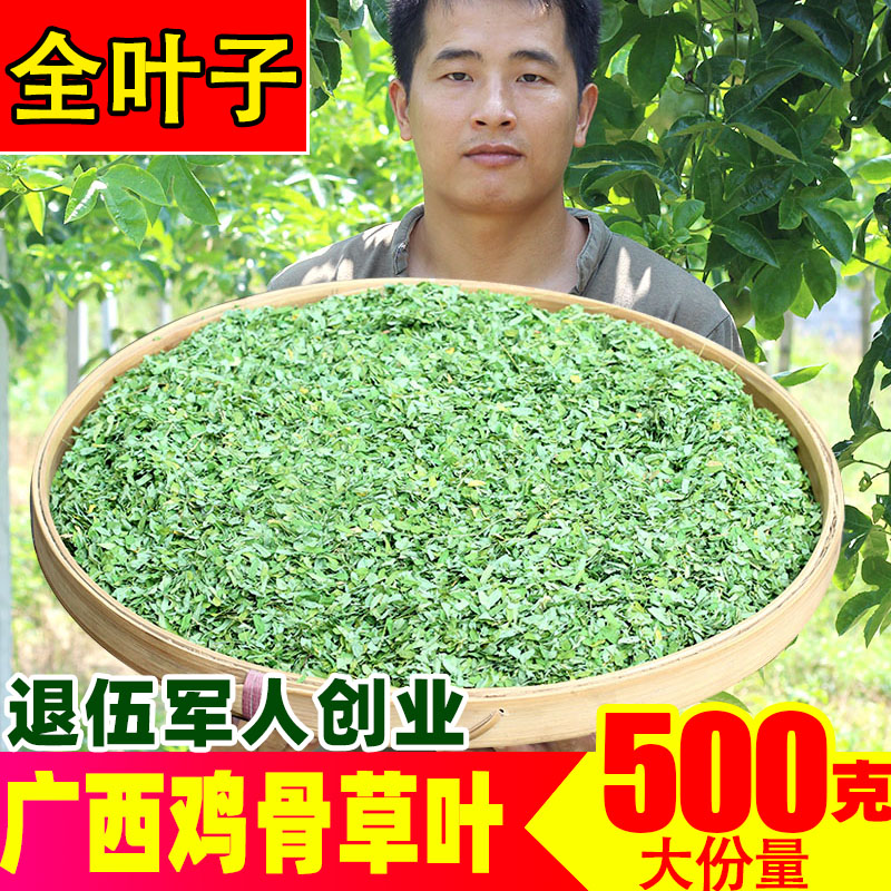 广西新鲜鸡骨草茶野生叶子草叶益肝500g泡茶正品相思叶鸡骨草茶叶