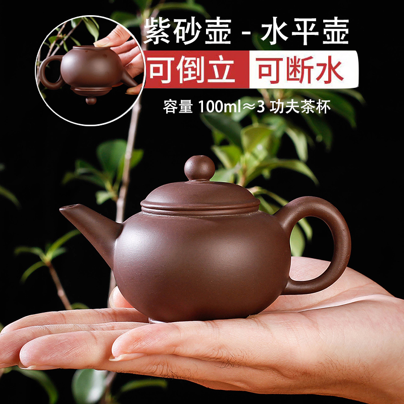 宜兴紫砂壶茶壶 纯手工家用冲泡茶壶