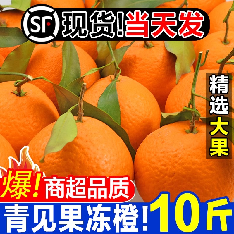 现摘四川青见果冻橙新鲜橙子10斤手剥甜爱媛橙橘桔子当季水果整箱