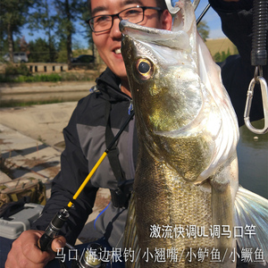 神钓者激流路亚马口竿ul快调纺车轮