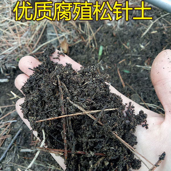 松针土腐叶腐殖土草莓苗营养土通用型花土多肉土种菜种花营养土彩