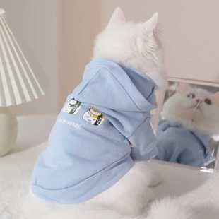 猫咪衣服薄款幼猫公猫小猫的背心宠物防掉毛布偶蓝猫夏天猫猫夏季