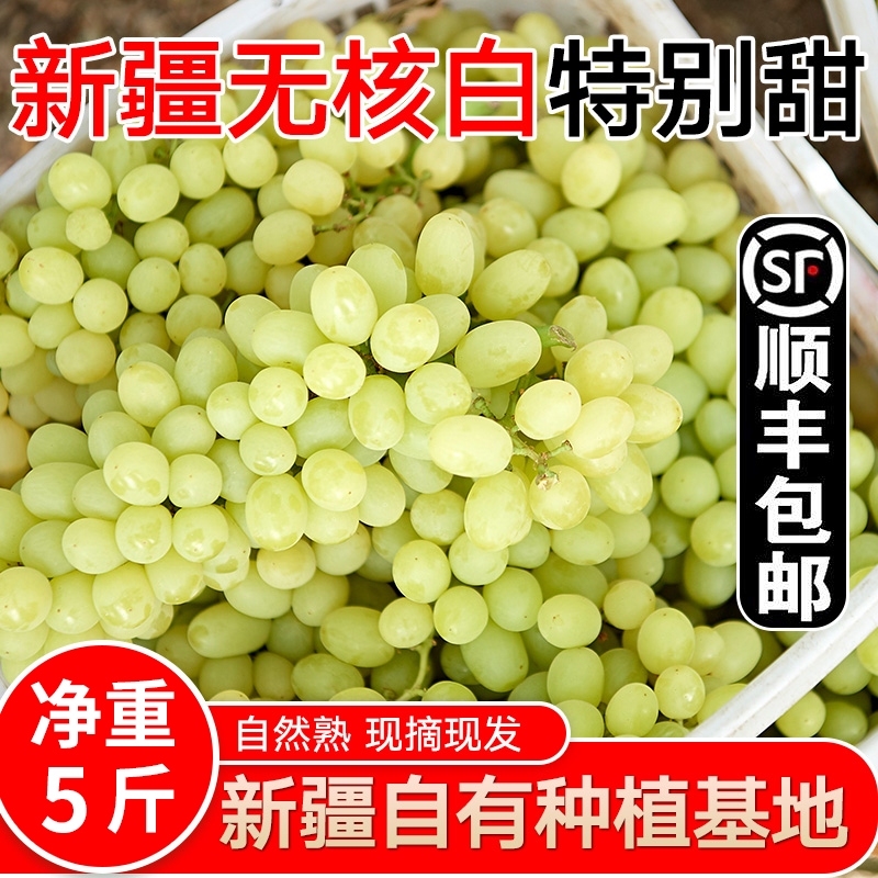 新疆无核白葡萄无籽新鲜水果吐鲁番当季青提马奶提子5斤整箱包邮在类目 水产肉类/新鲜蔬果/熟食, 新鲜水果, 葡萄/提子中 - 来自Buy2taobao.com提供专业的淘宝代购服务