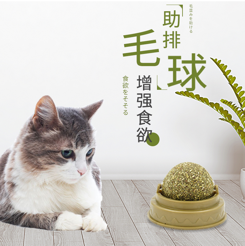 猫咪薄荷球磨牙棒逗猫神器旋转舔舔乐棒棒糖自嗨猫玩具球猫咪用品在类目 宠物/宠物食品及用品, 猫/狗玩具, 逗猫棒中 - 来自Buy2taobao.com提供专业的淘宝代购服务