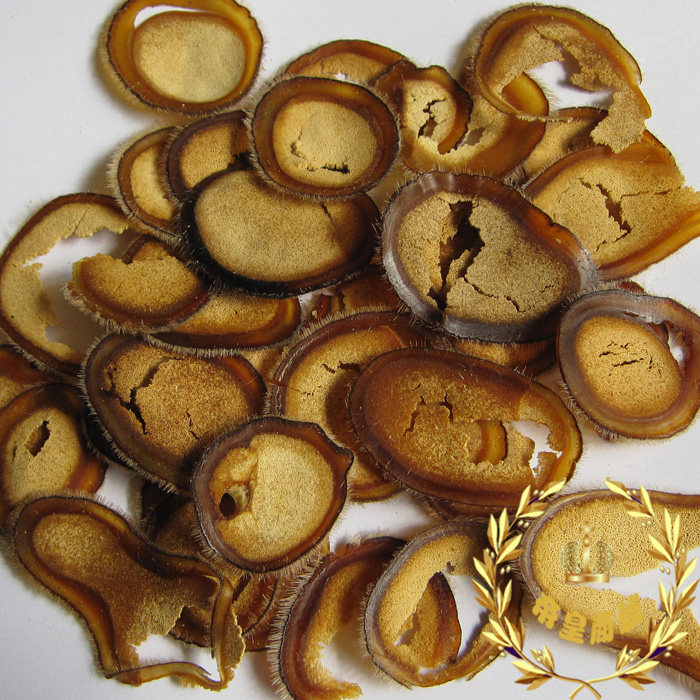 【买一送一】鹿茸片梅花鹿茸碎干鹿茸