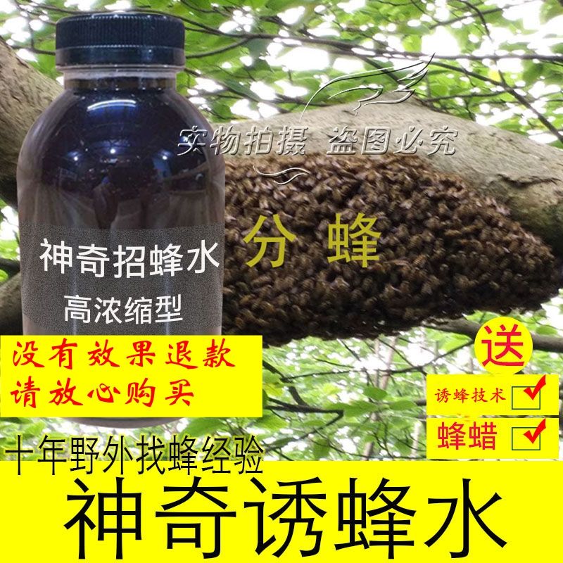 神奇诱蜂水招蜂水引蜂专用诱蜂蜡野外诱蜜蜂技术诱蜂药诱蜂桶蜜蜂