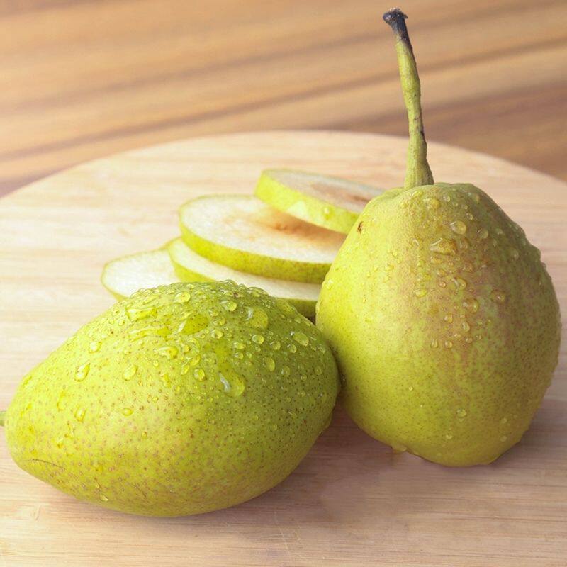 精选全母梨新疆正宗库尔勒香梨新鲜水果梨子10斤整箱香梨顺丰柚