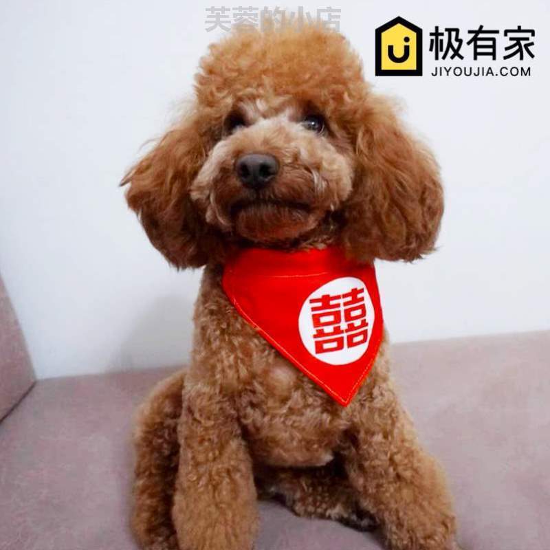 可结婚犬喜字红色{新年小型狗狗调节猫咪巾项圈宠装饰品围脖口水