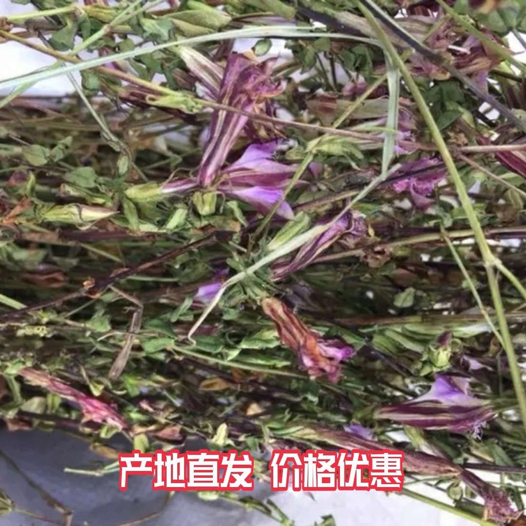 贵州省野生红花龙胆草500克包邮高海拔中草药材小青鱼草星秀花