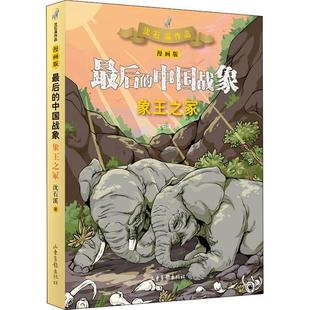 全新正版 象王之冢(漫画版)沈石溪山东画报出版社 现货