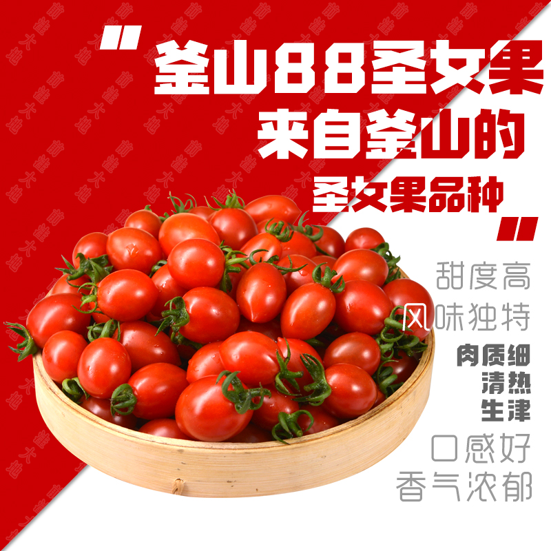 釜山88新鲜圣女果樱桃小番茄当季4斤装小西红柿蔬菜水果中大果