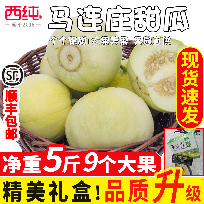 顺丰礼盒】青岛莱西马连庄甜瓜5斤9个大果孕妇水果新鲜香瓜小甜瓜在类目 水产肉类/新鲜蔬果/熟食, 新鲜水果, 其它中 - 来自Buy2taobao.com提供专业的淘宝代购服务