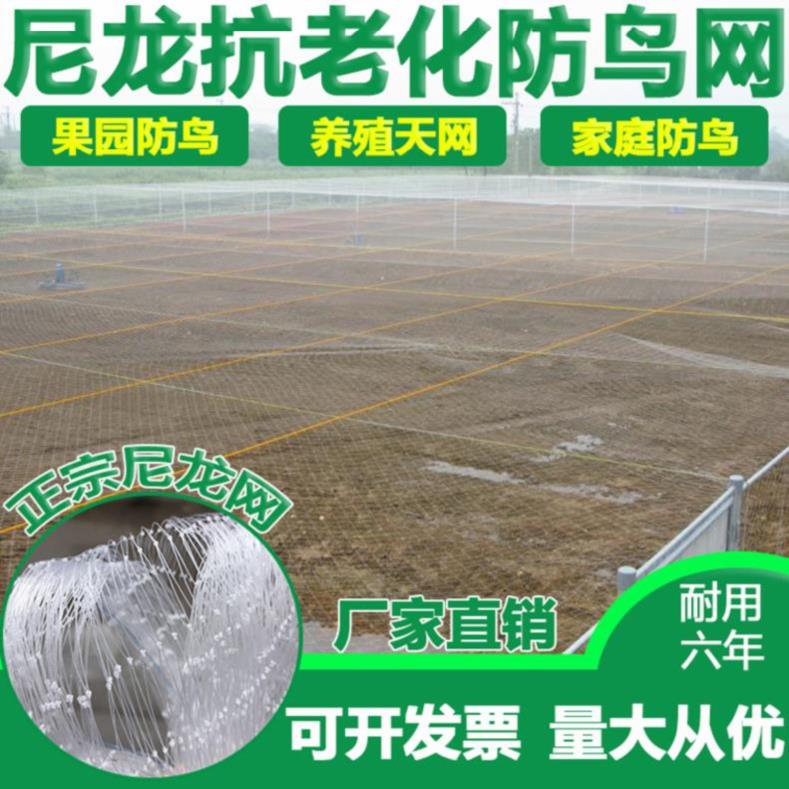 草莓网罩水果尼龙绳蓝葡萄树拉网果树防护网鱼塘布料绳网户外大棚在类目 鲜花速递/花卉仿真/绿植园艺, 园艺用品, 其它园艺用品中 - 来自Buy2taobao.com提供专业的淘宝代购服务