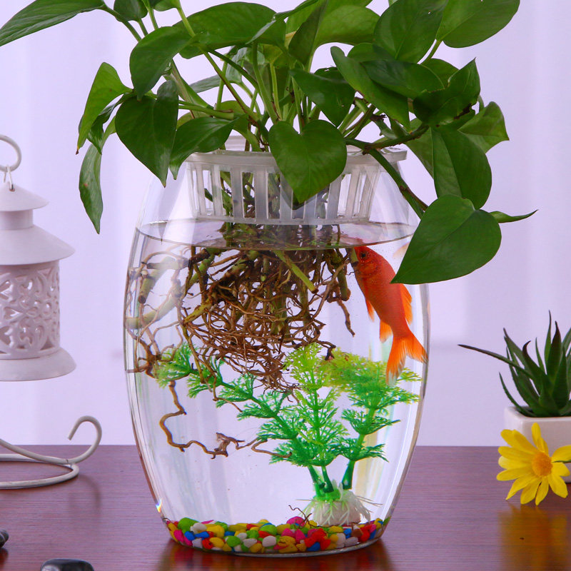 搜索"鱼缸小型桌面小型鱼"的优惠券结果页-搜券网