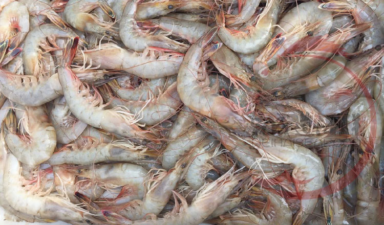 网友分享在meiguo.com上的图片