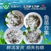 飼料食用喂烏龜的小魚苗沙塘活魚家養多種魚塘草魚苗通用養殖龍魚 飼料食用喂烏龜的小魚苗沙塘活魚家養多種魚塘草魚苗通用養殖龍魚