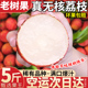 顺丰速发 5斤海南无核荔枝新鲜水果当季顺丰速发现摘无籽王甜整箱