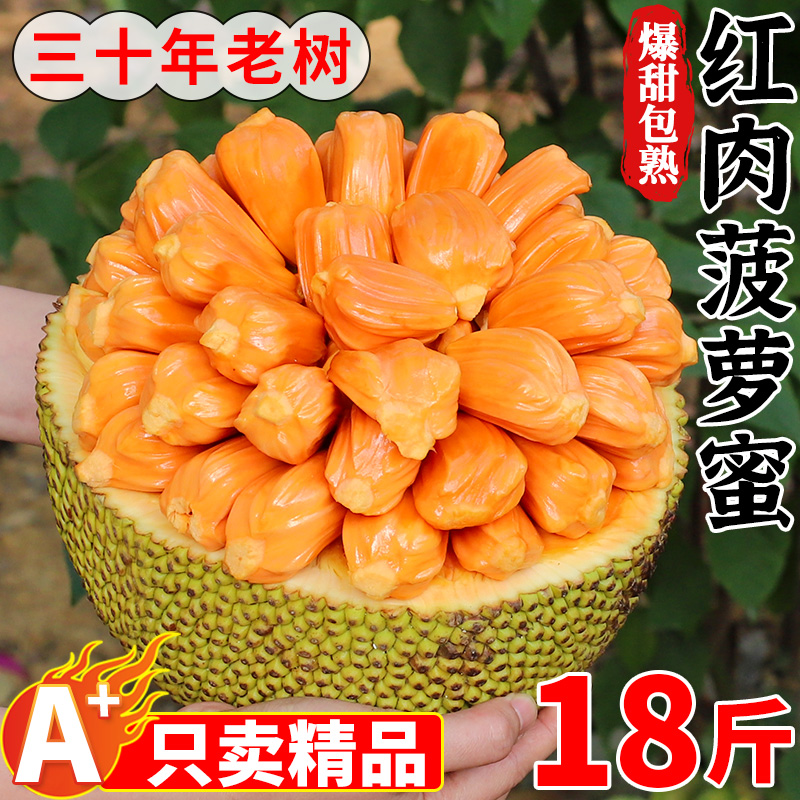海南红肉菠萝蜜一整个18斤新鲜现摘