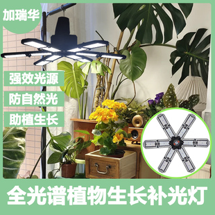 植物补光家用室内开花可折叠热植全光谱LED植物生长灯仿太阳光