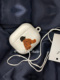 韩国ins小众设计帽子壳子棕色小熊博主同款菲林耳机壳适用于苹果1/2/3代airpods pro2保护套airpods 3代硬亮