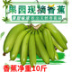 香蕉新鲜成串现摘大香蕉水果生banana青皮10斤山地自然熟软糯香