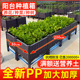 种菜专用箱种植箱楼顶种菜盆神器家庭阳台特大塑料花盆户外花箱