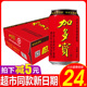 加多宝凉茶饮料怕上火红罐凉茶植物饮品茶饮料310ml*24罐整箱批发