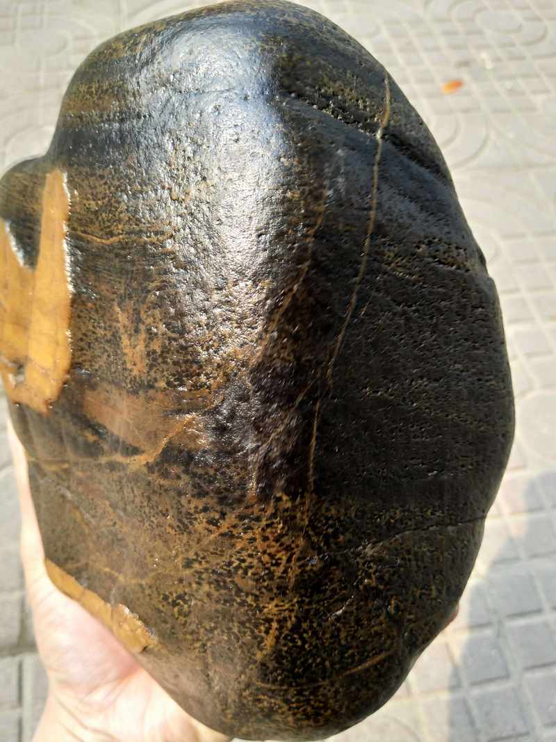 胶乌鸦皮碧玉冻挂件黄蜡石细蜡冻蜡