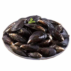 鲜活水产野生特大号6斤装青口贝
